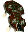 TS 250 special banjo
